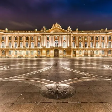 *grand T3*lumineux*vue*parking* Toulouse